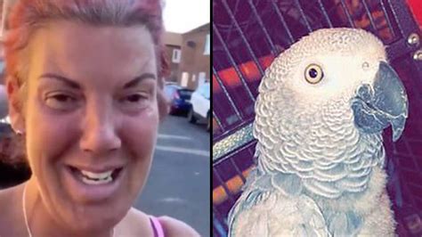 chanel parrot|chanel the parrot arrested.